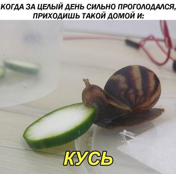 ? ,  ! - 9  2019  18:48