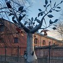 ���� ������, ������, 53 ���� - ��������� 14 ������� 2019 � ������ ���� ����������