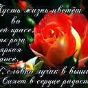 ���� ���������, �����, 69 ��� - ��������� 29 ������ 2019 � ������ ���� ����������