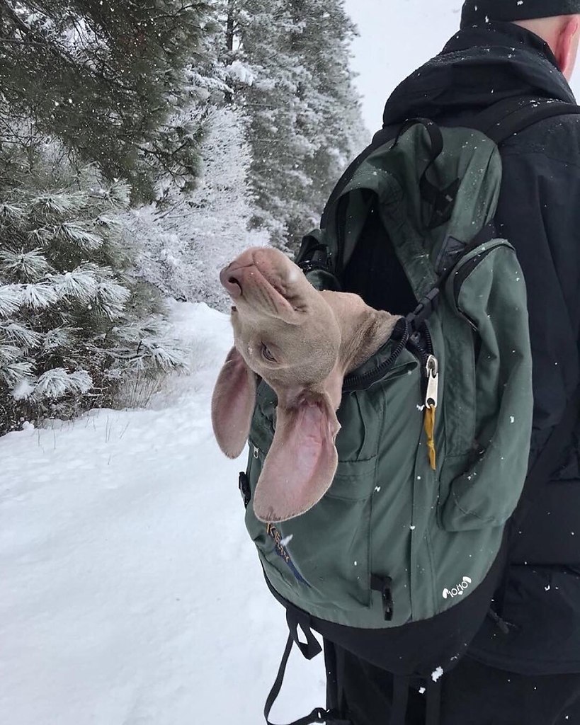 Imaginary world - 8  2019  19:43