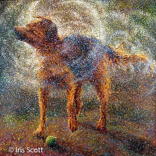  ,  .:   (Iris Scott) - 6