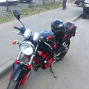 ���� �����, �����-���������, 46 ��� - ��������� 29 ������ 2019 � ������ ���� ����������