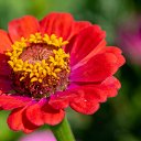  , , 52  -  11  2019     2019