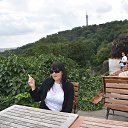 ���� ������, ���������, 49 ��� - ��������� 26 ��� 2019 � ������ ���� ����������