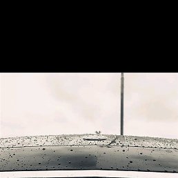 ���� �����, �����-���������, 25 ��� - ��������� 2 ������ 2019