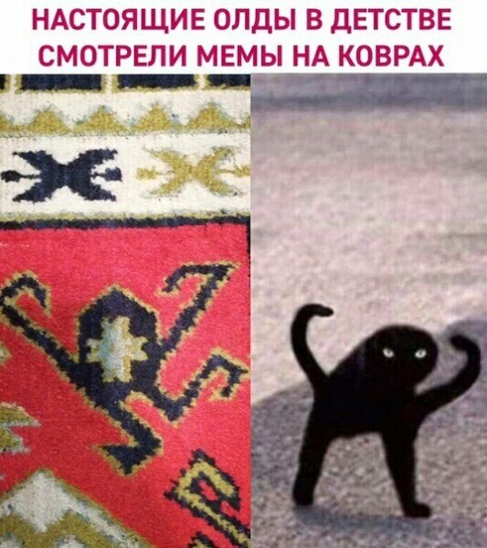 ☆☆☆  XX  ☆☆☆ - 28  2019  02:09