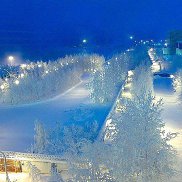 �����, 41 ���, ������