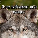 ���� Archi, ����������� - ��������� 6 ������ 2019 � ������ ���� ����������