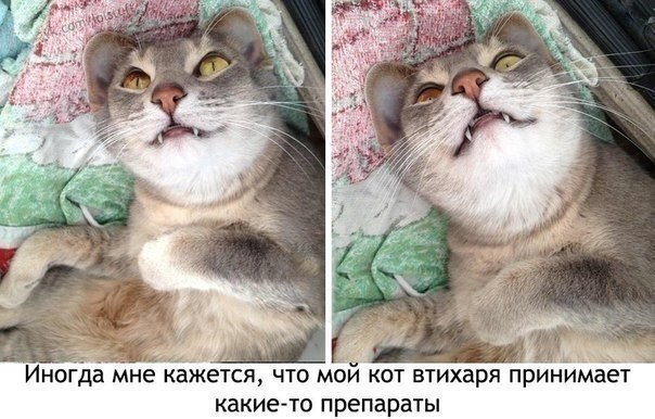    - 18  2019  19:09