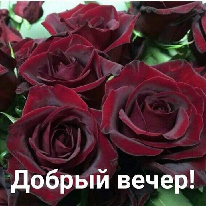   ,    . - 4  2019  19:21