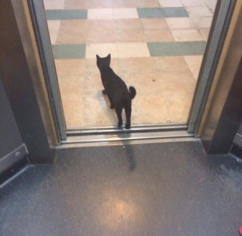  !       .    -    ... - 3