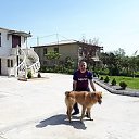 ���� ����, �������, 53 ���� - ��������� 1 ��� 2019 � ������ ���� ����������