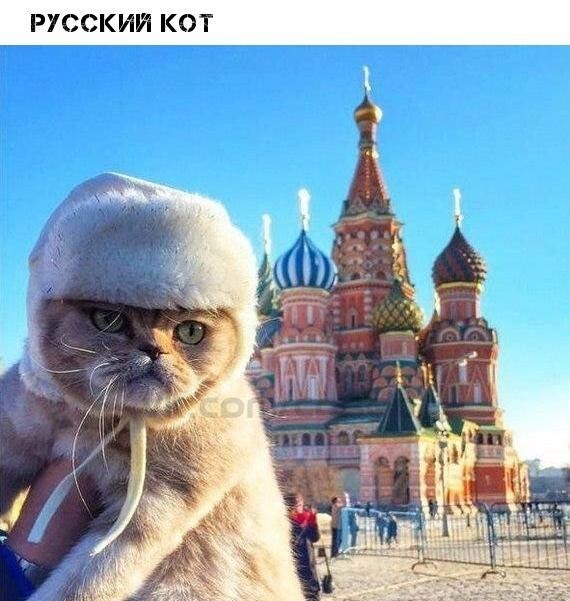   - 29  2019  19:05