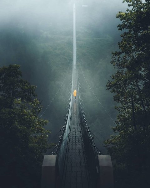    ̸, 