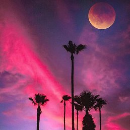 ���� Dik, �������, 39 ��� - ��������� 21 ������� 2019