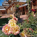  , , 50  -  1  2019   1 2019