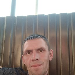 ���� �����, �������, 44 ���� - ��������� 15 ���� 2019