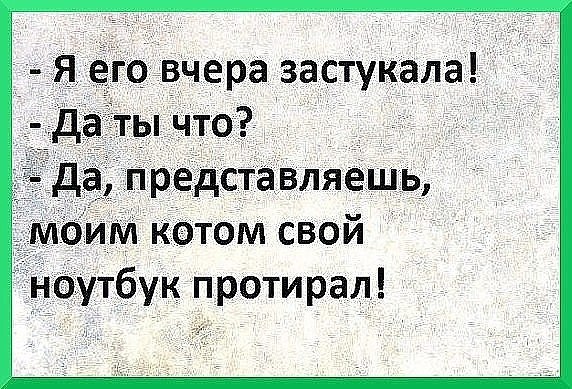 ☆ ☆ - 1  2019  03:54