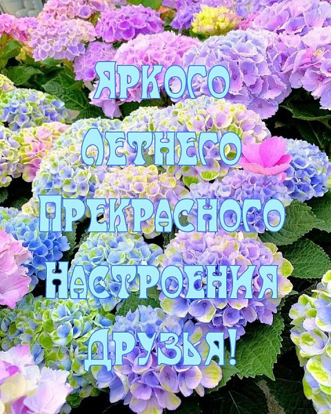   ,    . - 10  2019  17:02 - 3
