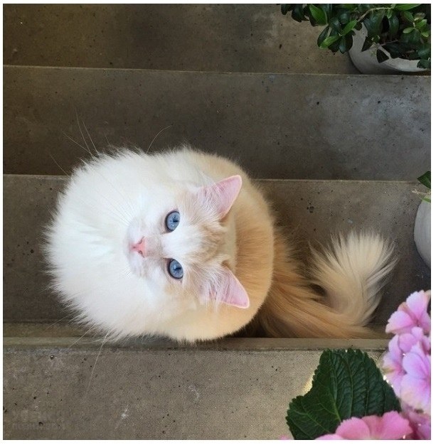 He �pe��e��������� �po��e��, �y��� ���y��o����� c��c��e