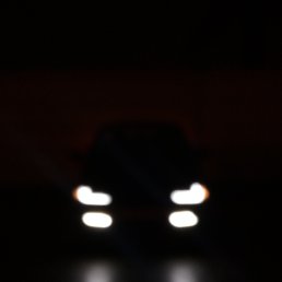 ���� ����, �����-���������, 34 ���� - ��������� 25 ������� 2019