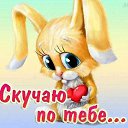 ���� ����, �����������, 66 ��� - ��������� 10 ������� 2019 � ������ ���� ����������