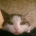 ���� �������, �������, 44 ���� - ��������� 16 �������� 2019 � ������ ���� ����������