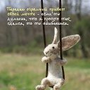 ���� ��������, �������� - ��������� 23 ������� 2019 � ������ ������ ��������