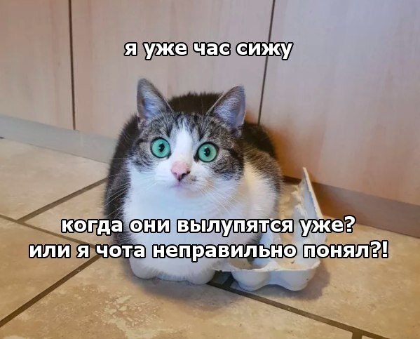    - 6  2019  02:25