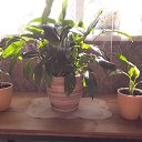 ���� ��������, ��������� - ��������� 21 �������� 2019 � ������ ���