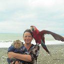 ���� �������, ������, 58 ��� - ��������� 15 ���� 2019