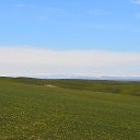 ���� ��������, ����� - ��������� 7 ������ 2019 � ������ �UZGTL�