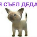 ���� ����, ����������, 25 ��� - ��������� 16 ������� 2019