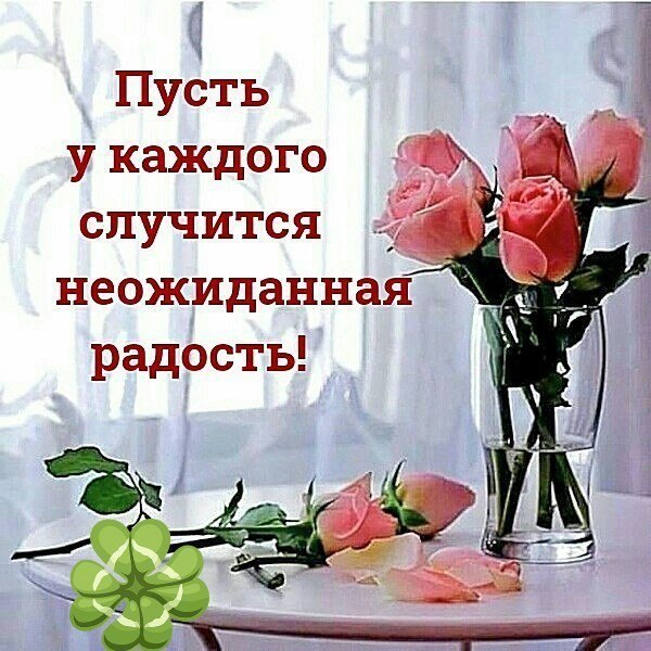 ������� - 19 ���� 2019 � 04:53