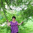 ���� �������, ���������� - ��������� 22 ���� 2019 � ������ ���� ����������