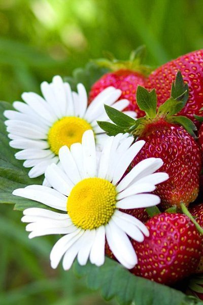  ))).    ,   .    ... - 3