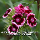 ���� ���������, ����������, 55 ��� - ��������� 5 ������� 2019 � ������ ������ ��������