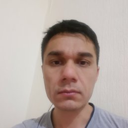 ������ 89095490991, �����, 43 ����