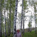 �. �����������, ���������, ��� 2017�. �� ������� ���� ����������