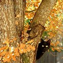 ���� Natali, ��������� - ��������� 23 ������� 2019 � ������ ���� ����������