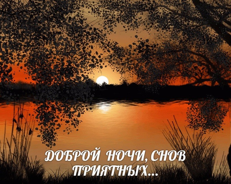   ,    . - 8  2019  20:56