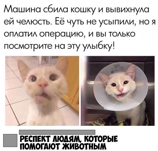    :D - 7  2019  02:35