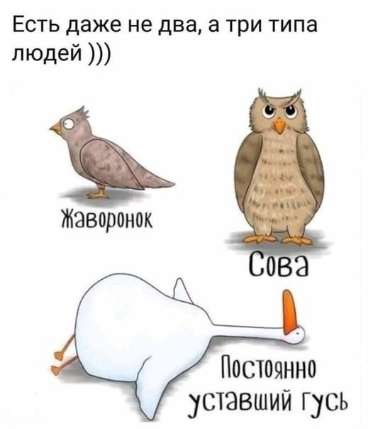    ,       ,  .