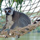 ���� ������, �����������, 65 ��� - ��������� 27 ��� 2019 � ������ ���� ����������