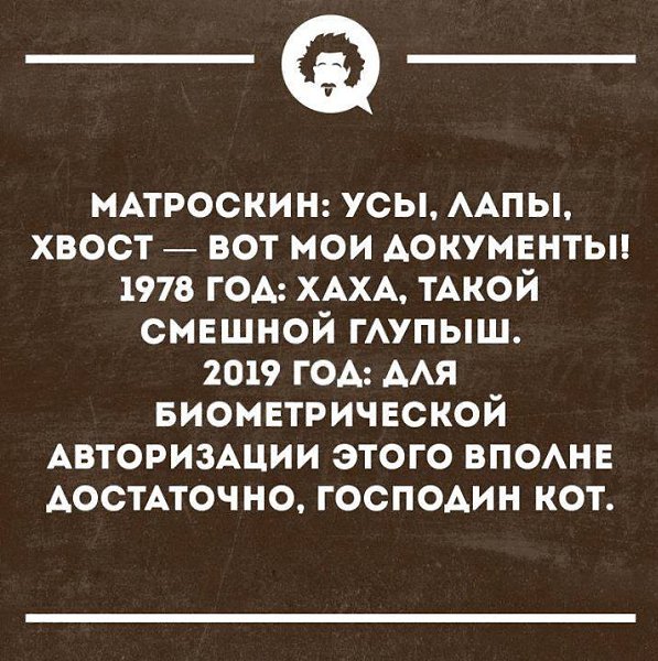    - 19  2019  13:49