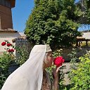  , -, 64  -  19  2019    2019 