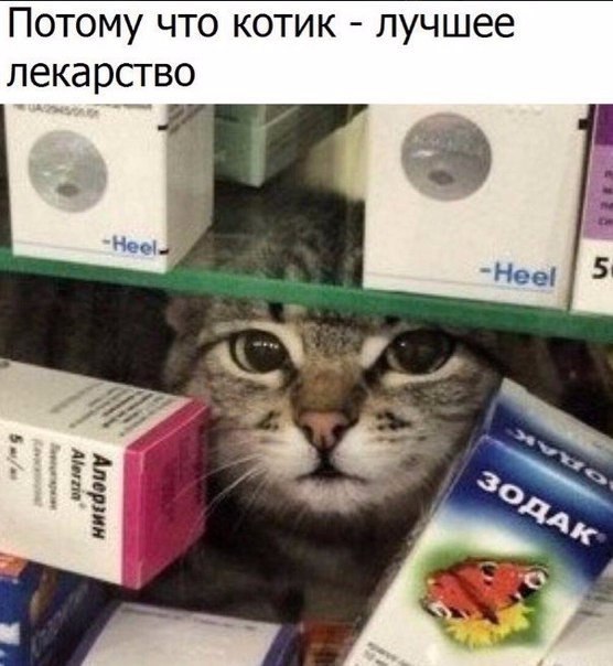    - 5  2019  03:49