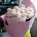  ,   -  11  2019   26  2019