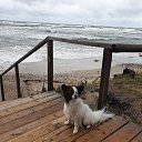 ���� Gintautas, ������, 66 ��� - ��������� 16 �������� 2019 � ������ ������ ��������