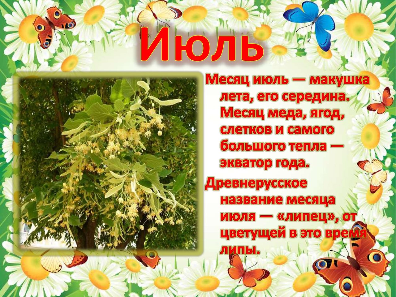   ,    . - 23  2019  15:32 - 3